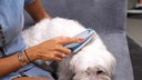 Genius-Ideas-x000000ae-GI-028250-Brosse-ionisante-