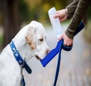 Genius-Ideas-Bouteille-d-eau-pour-chien-GI-005750.