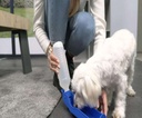 Genius-Ideas-Bouteille-d-eau-pour-chien-GI-005750-
