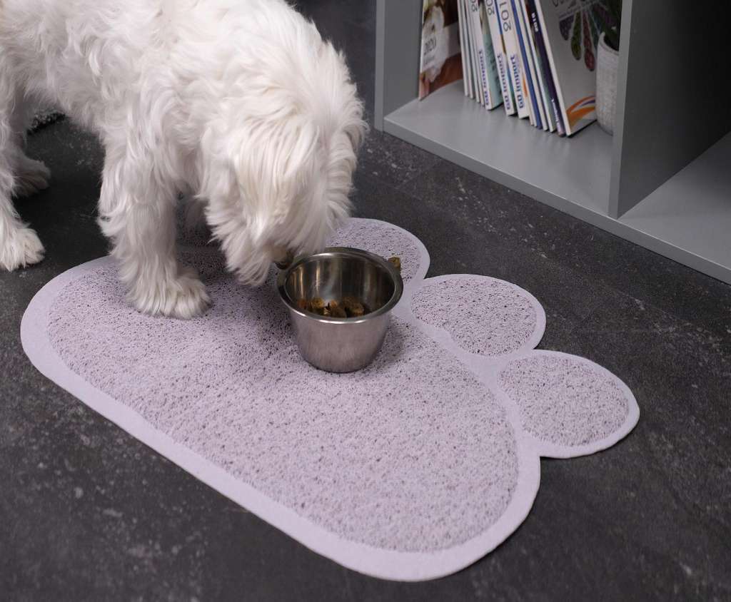 Genius-Ideas-Tapis-en-forme-de-patte-de-chat-GI-19