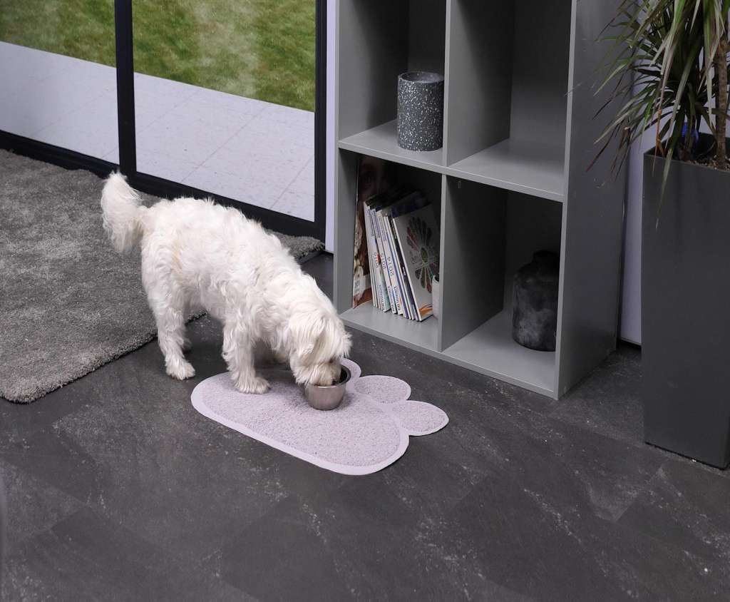 Genius-Ideas-Tapis-en-forme-de-patte-de-chat-GI-19