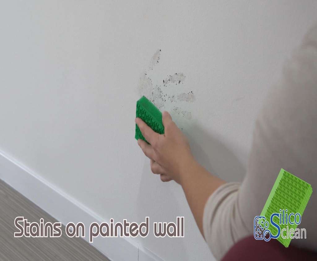 Genius-Ideas-Vert-Tampon-nettoyant-SilicoClean-GI-