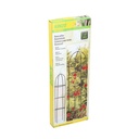 Kinzo-ED-13751-Colonne-de-roses-de-jardin-Vert-185