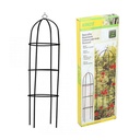 Kinzo-ED-13751-Colonne-de-roses-de-jardin-Vert-185