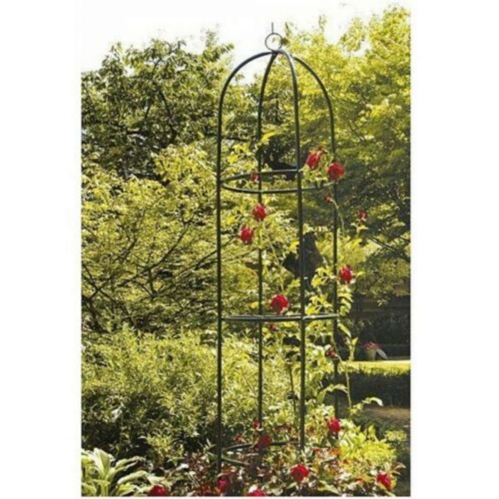 Kinzo-ED-13751-Colonne-de-roses-de-jardin-Vert-185