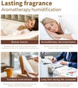Humidificateur-d-air-Herzberg-Diffuseur-d-huile-ar
