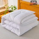 Herzberg-HG-24267WD-Couette-Blanche-De-Qualite-Hot