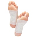 Wellys-GD-122108-Lot-de-10-platres-en-bambou-Ginge