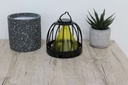 Wellys-GD-054561-Piege-a-insectes-lumineux-Cactus-