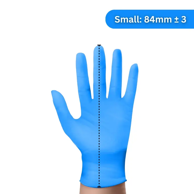 BT-Small-1.webp