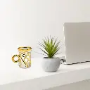 6TeaCups_7.webp