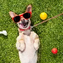 Pet-Treatment-ED-41661-Laisse-Retractable-Pour-Chien-Qui-Brille-Dans-Le-Noir-3-5M-ED-41661-6.webp