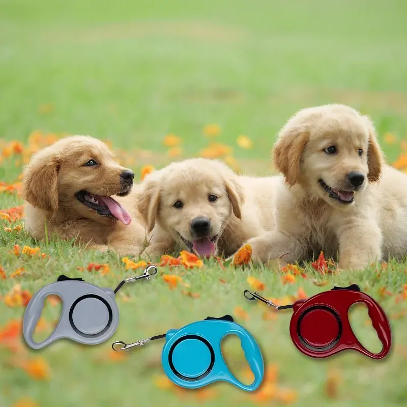 Pet-Treatment-ED-42835-Laisse-Retractable-Pour-Chien-3M-ED-42835-2.webp