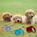 Pet-Treatment-ED-42835-Laisse-Retractable-Pour-Chien-3M-ED-42835-2.webp