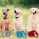 Pet-Treatment-ED-42859-Laisse-Retractable-Pour-Chien-5M-ED-42859-1.webp