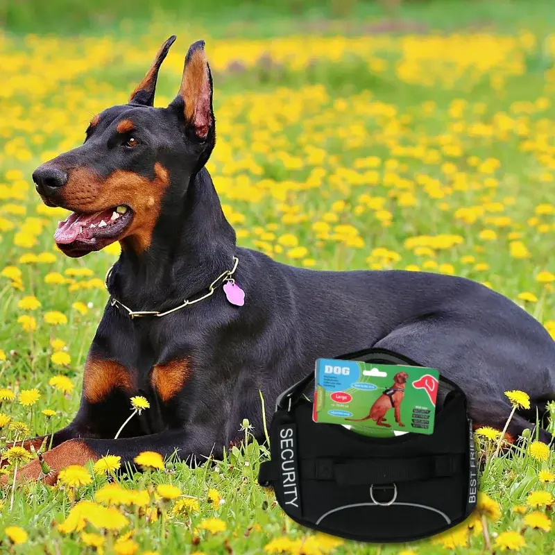 Pet-Treatment-ED-89963-Harnais-pour-chien-L-70-86cm-ED-89963-1-1.webp