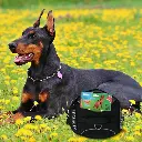 Pet-Treatment-ED-89963-Harnais-pour-chien-L-70-86cm-ED-89963-1-1.webp