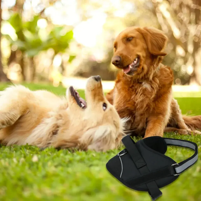 Pet-Treatment-ED-89963-Harnais-pour-chien-L-70-86cm-ED-89963-2-1.webp