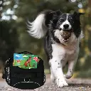Pet-Treatment-ED-89963-Harnais-pour-chien-L-70-86cm-ED-89963-4.webp