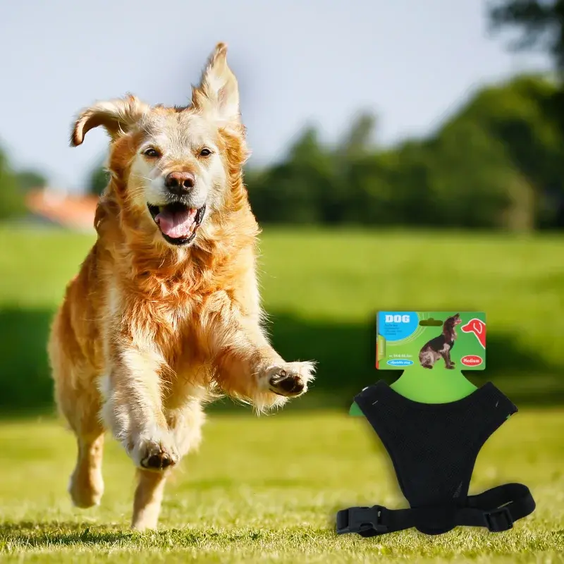 Pet-Treatment-ED-90006-Harnais-Pour-Chien-M-54-6-x-85-2cm-ED-90006-1.webp