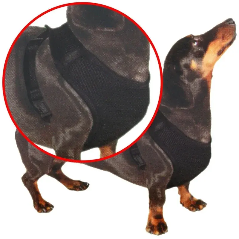 Pet-Treatment-ED-19000-Harnais-Pour-Chien-M-54-6-x-85-2cm-2.webp