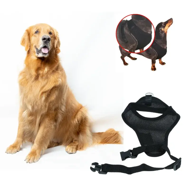 Pet-Treatment-ED-19000-Harnais-Pour-Chien-M-54-6-x-85-2cm-6.webp